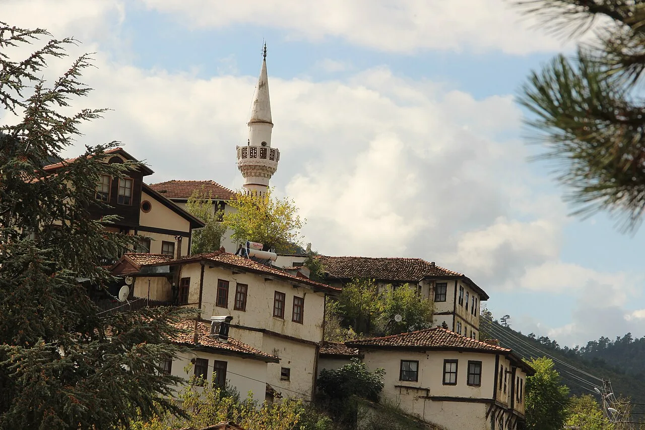Historic timber and masonry houses in Taraklı
