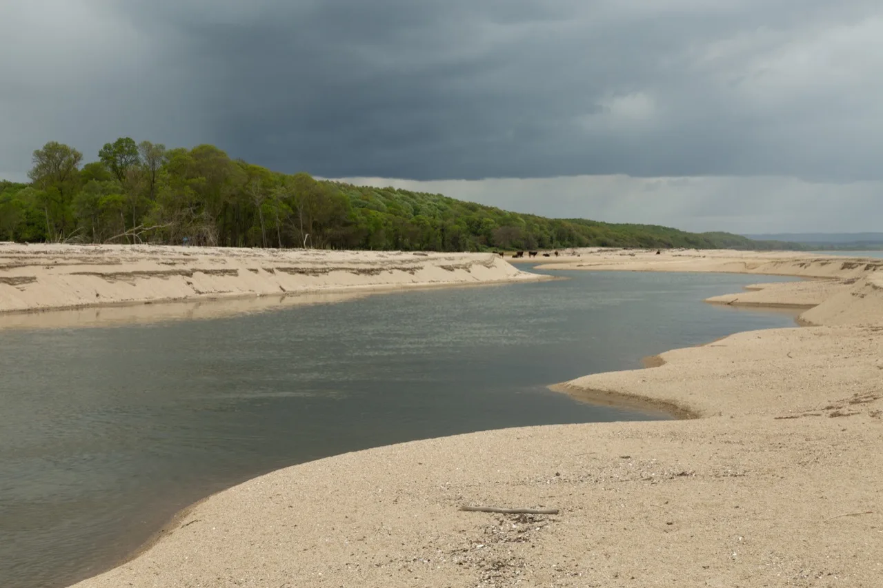 Stream, sand and forest edge in the İğneada floodplain setting